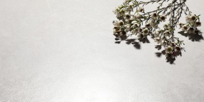 清新系 - 奶油純